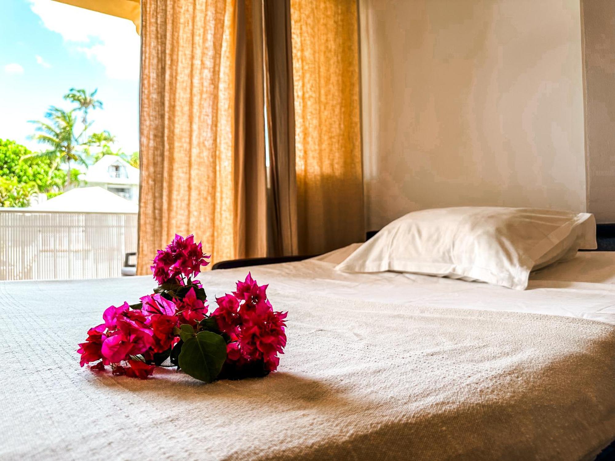 Maison Creole Saint-Francois  Ngoại thất bức ảnh